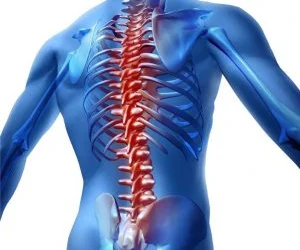 Physical Therapy for Back Pain in Lehigh Valley